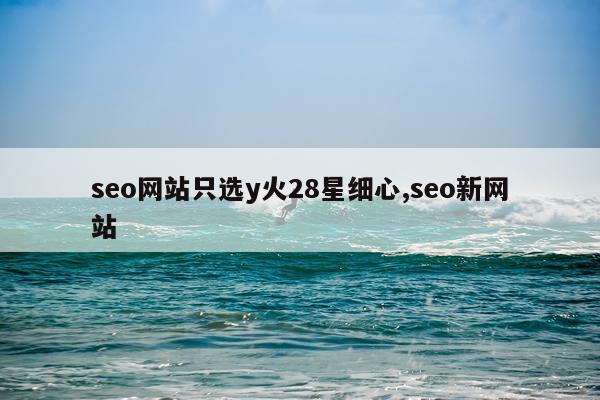 seo网站只选y火28星细心,seo新网站