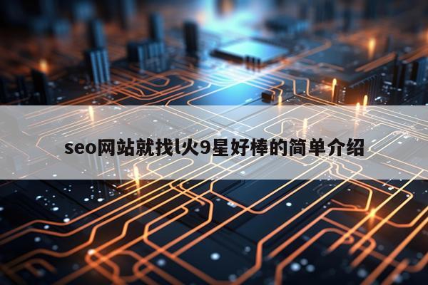 seo网站就找l火9星好棒的简单介绍