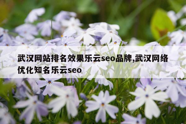 武汉网站排名效果乐云seo品牌,武汉网络优化知名乐云seo