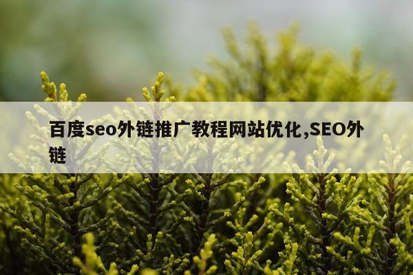 百度seo外链推广教程网站优化,SEO外链