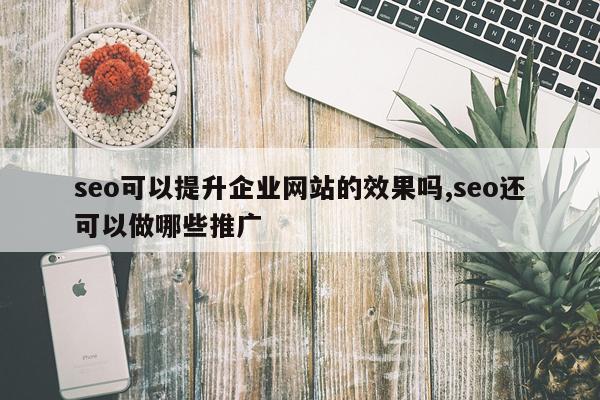 seo可以提升企业网站的效果吗,seo还可以做哪些推广
