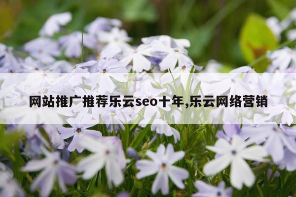 网站推广推荐乐云seo十年,乐云网络营销