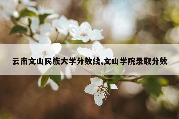 云南文山民族大学分数线,文山学院录取分数