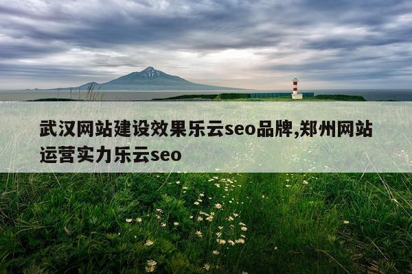 武汉网站建设效果乐云seo品牌,郑州网站运营实力乐云seo