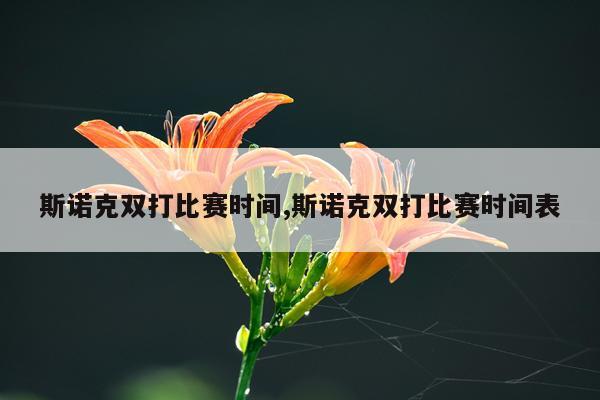 斯诺克双打比赛时间,斯诺克双打比赛时间表