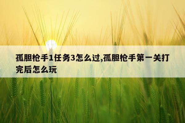 孤胆枪手1任务3怎么过,孤胆枪手第一关打完后怎么玩
