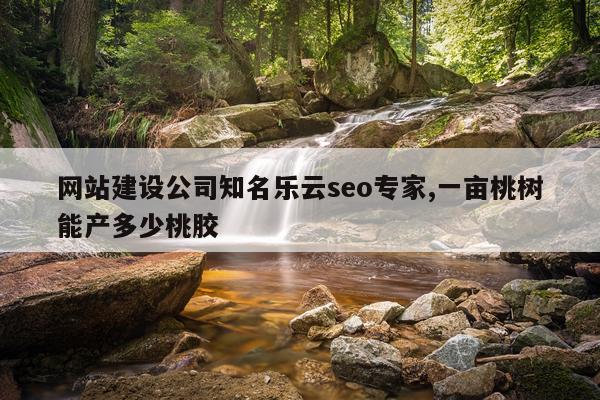 网站建设公司知名乐云seo专家,一亩桃树能产多少桃胶