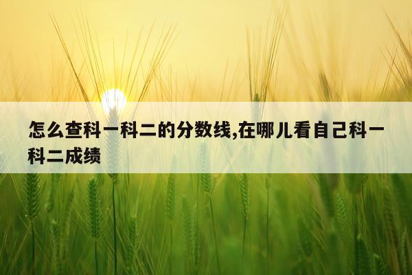 怎么查科一科二的分数线,在哪儿看自己科一科二成绩