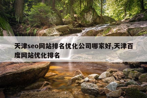 天津seo网站排名优化公司哪家好,天津百度网站优化排名