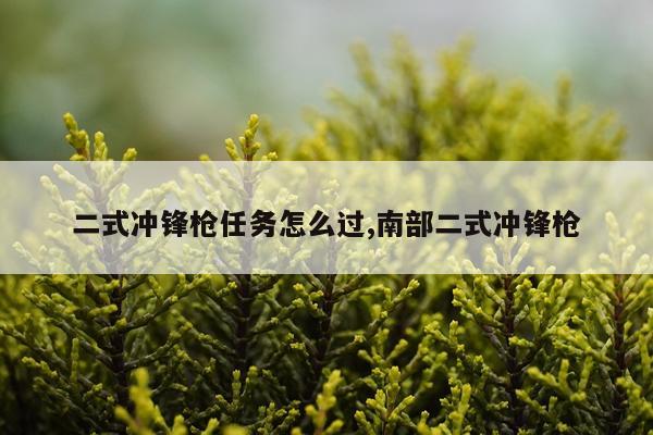 二式冲锋枪任务怎么过,南部二式冲锋枪