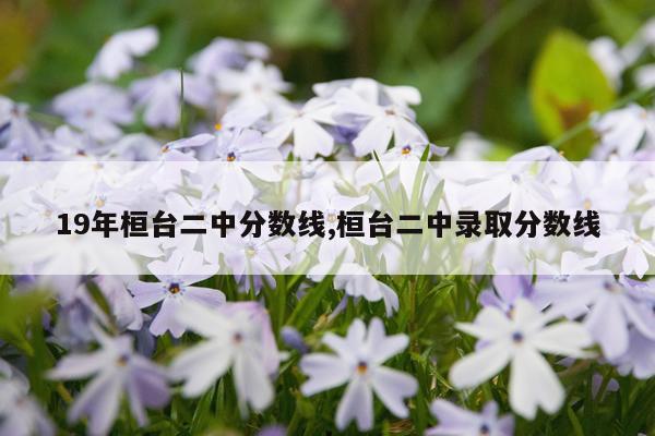 19年桓台二中分数线,桓台二中录取分数线