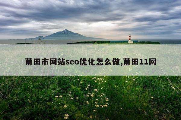 莆田市网站seo优化怎么做,莆田11网