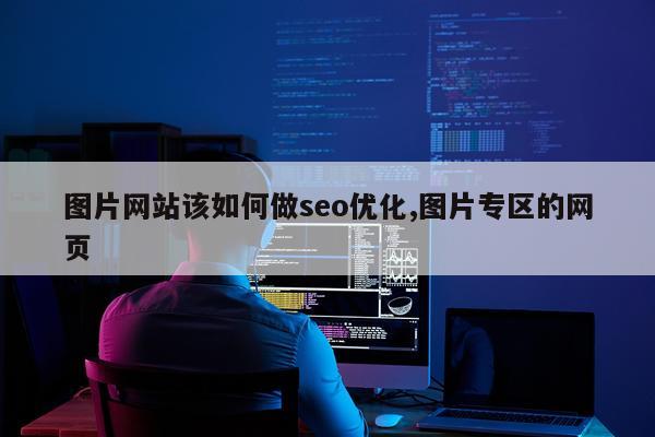 图片网站该如何做seo优化,图片专区的网页