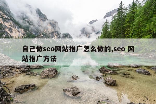 自己做seo网站推广怎么做的,seo 网站推广方法