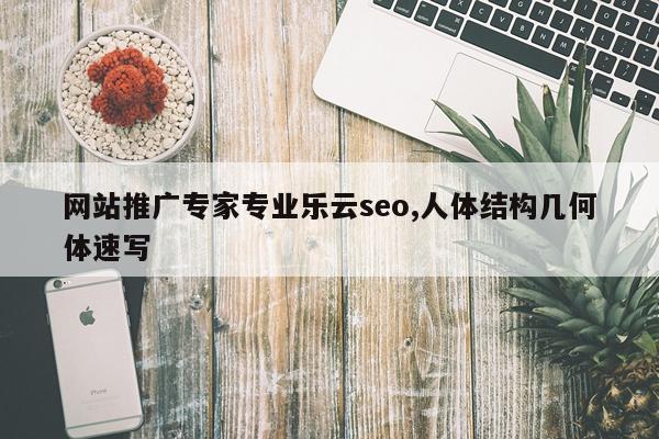 网站推广专家专业乐云seo,人体结构几何体速写