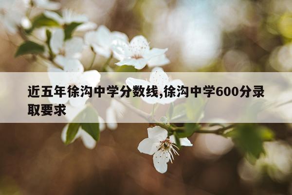 近五年徐沟中学分数线,徐沟中学600分录取要求