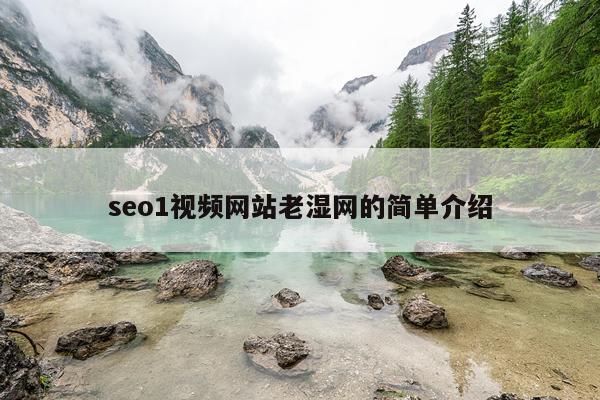 seo1视频网站老湿网的简单介绍