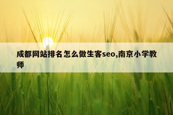 成都网站排名怎么做生客seo,南京小学教师
