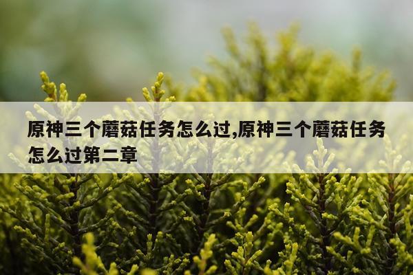 原神三个蘑菇任务怎么过,原神三个蘑菇任务怎么过第二章