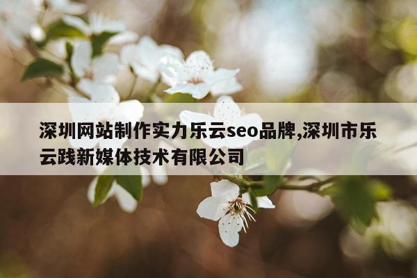 深圳网站制作实力乐云seo品牌,深圳市乐云践新媒体技术有限公司