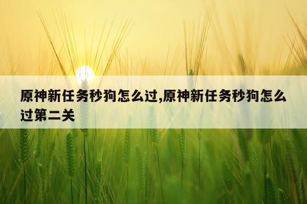 原神新任务秒狗怎么过,原神新任务秒狗怎么过第二关