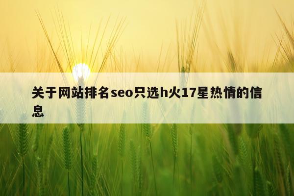 关于网站排名seo只选h火17星热情的信息