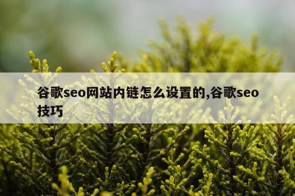 谷歌seo网站内链怎么设置的,谷歌seo技巧