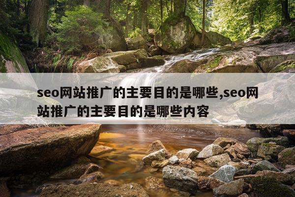 seo网站推广的主要目的是哪些,seo网站推广的主要目的是哪些内容