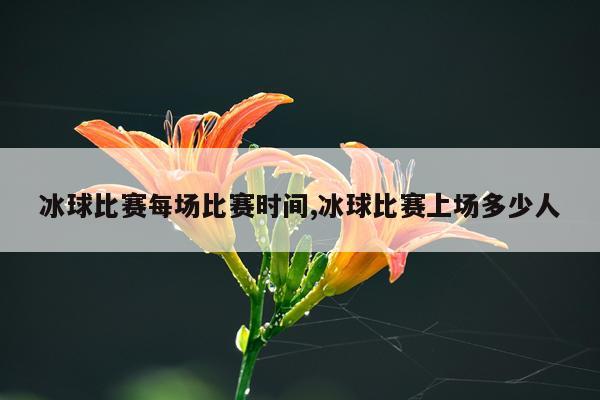冰球比赛每场比赛时间,冰球比赛上场多少人