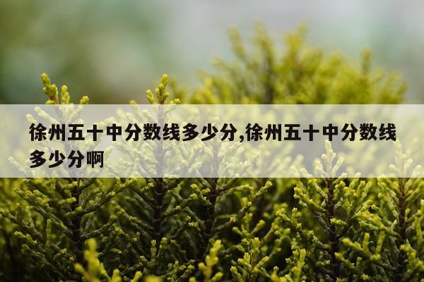 徐州五十中分数线多少分,徐州五十中分数线多少分啊
