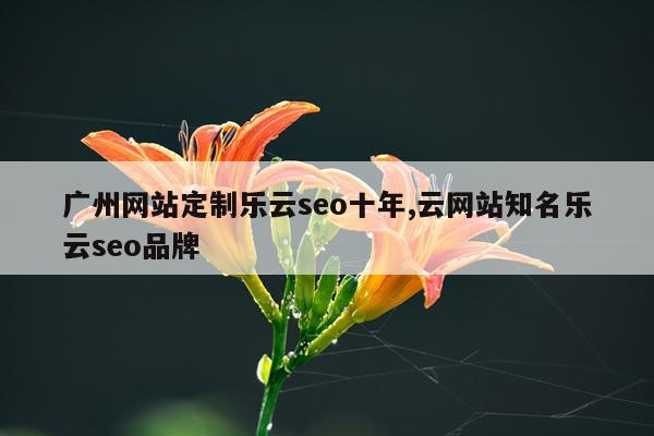 广州网站定制乐云seo十年,云网站知名乐云seo品牌