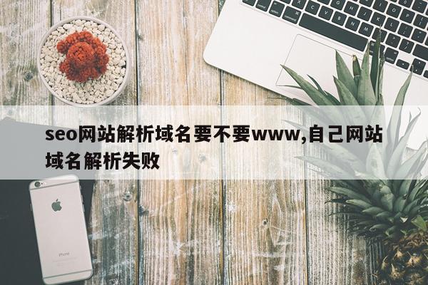 seo网站解析域名要不要www,自己网站域名解析失败