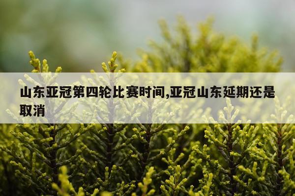 山东亚冠第四轮比赛时间,亚冠山东延期还是取消