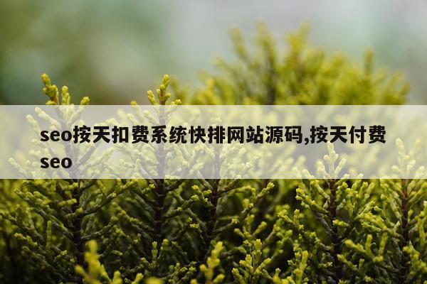 seo按天扣费系统快排网站源码,按天付费seo