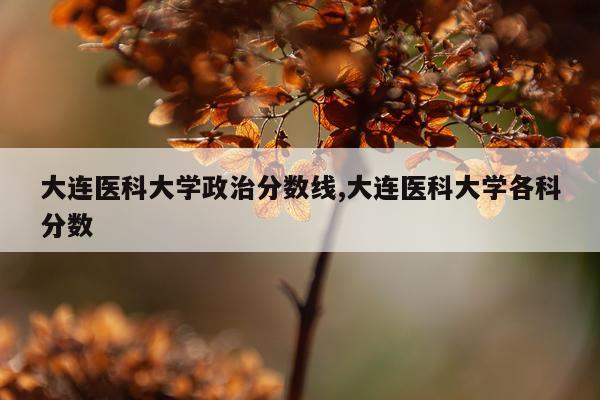 大连医科大学政治分数线,大连医科大学各科分数