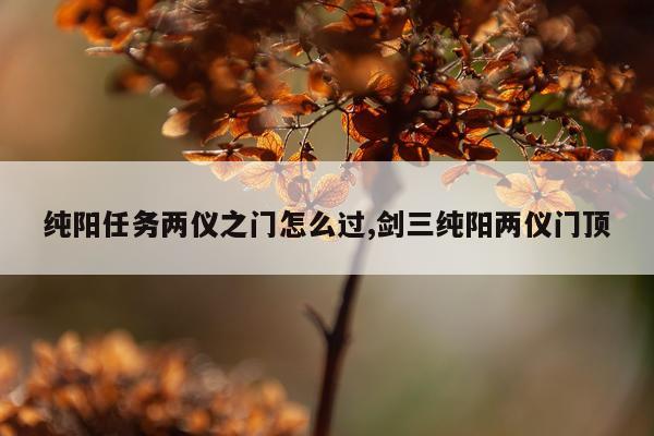纯阳任务两仪之门怎么过,剑三纯阳两仪门顶