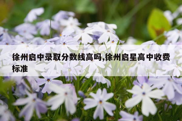 徐州启中录取分数线高吗,徐州启星高中收费标准