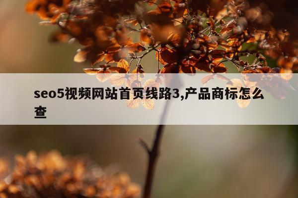 seo5视频网站首页线路3,产品商标怎么查