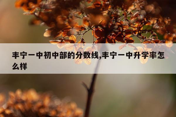 丰宁一中初中部的分数线,丰宁一中升学率怎么样