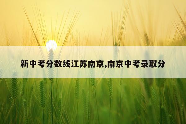 新中考分数线江苏南京,南京中考录取分