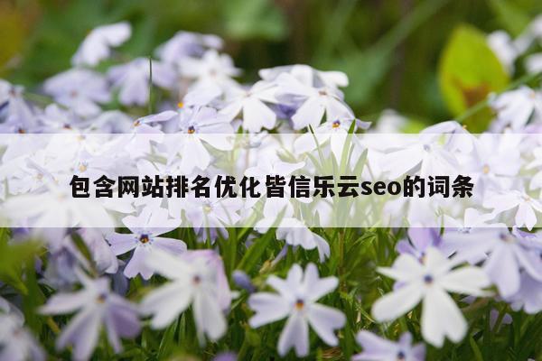 包含网站排名优化皆信乐云seo的词条