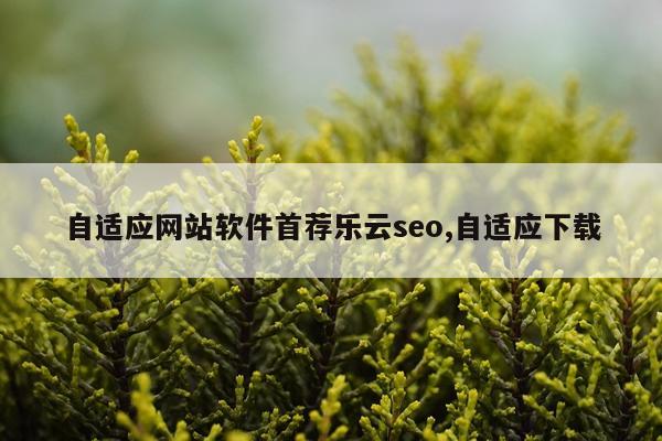 自适应网站软件首荐乐云seo,自适应下载