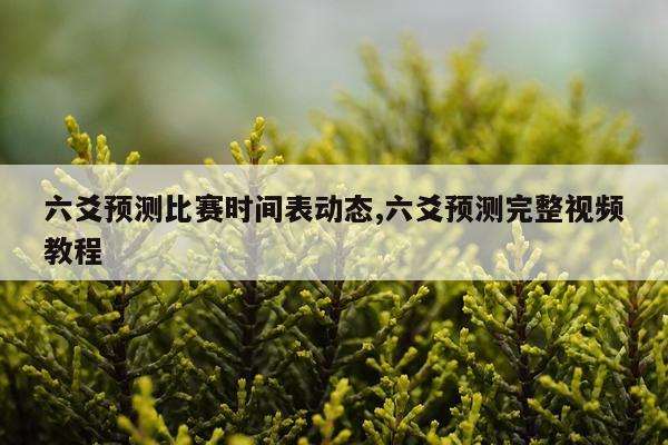 六爻预测比赛时间表动态,六爻预测完整视频教程