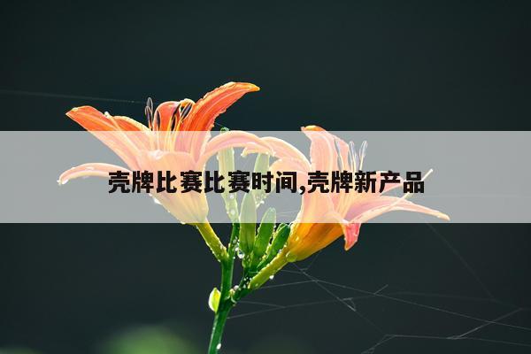 壳牌比赛比赛时间,壳牌新产品