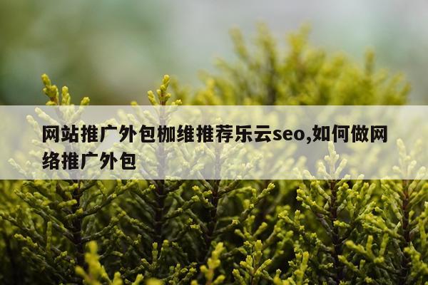 网站推广外包枷维推荐乐云seo,如何做网络推广外包