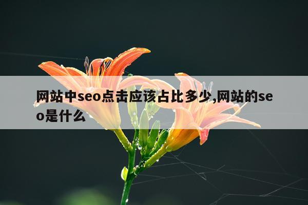 网站中seo点击应该占比多少,网站的seo是什么