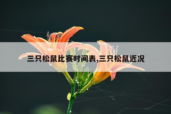 三只松鼠比赛时间表,三只松鼠近况