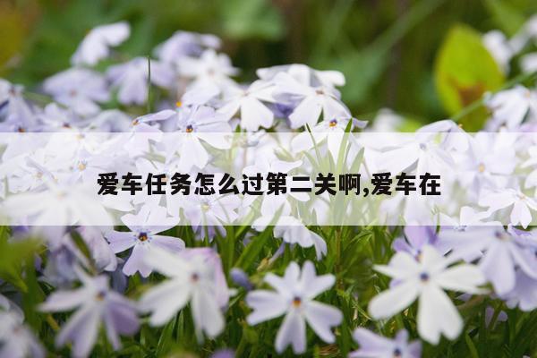 爱车任务怎么过第二关啊,爱车在