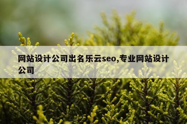 网站设计公司出名乐云seo,专业网站设计公司