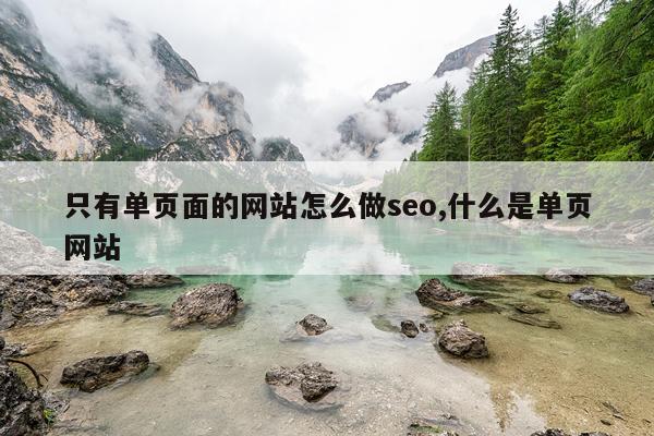 只有单页面的网站怎么做seo,什么是单页网站